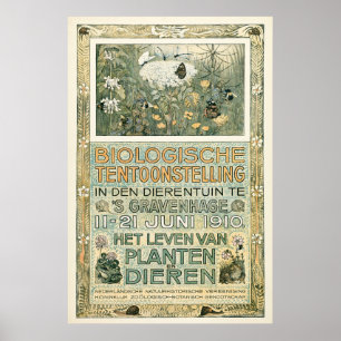 Biological Exhibition Poster, Dutch, Van Hoytema, Poster