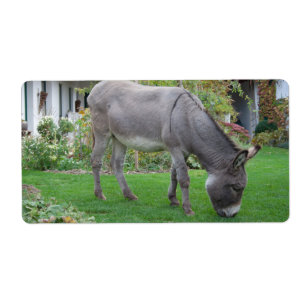 Biological Lawn-Mower On Four Hooves
