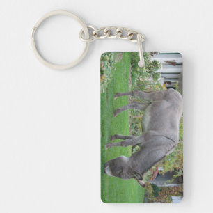 Biological Lawn-Mower On Four Hooves Key Ring