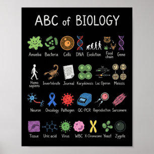 Biology Alphabet Science Education Teacher Student Poster