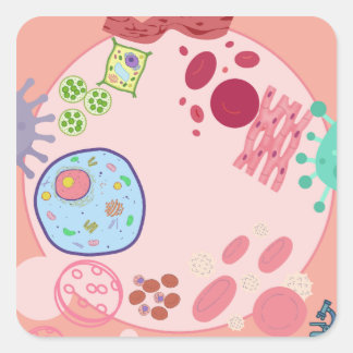 Biology Cells Sticker – Cute Colourful Cell Scienc