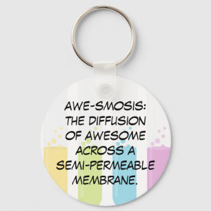 Biology & Chemistry Teachers: Science is Awesome Key Ring