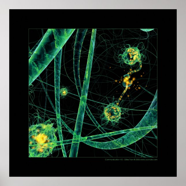 Biology: communication #2 poster (Front)