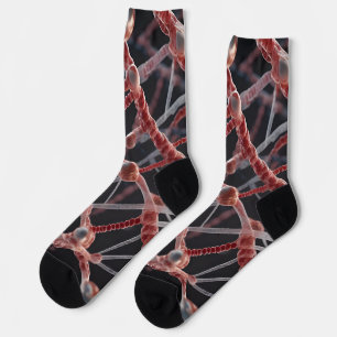 Biology Crew Socks