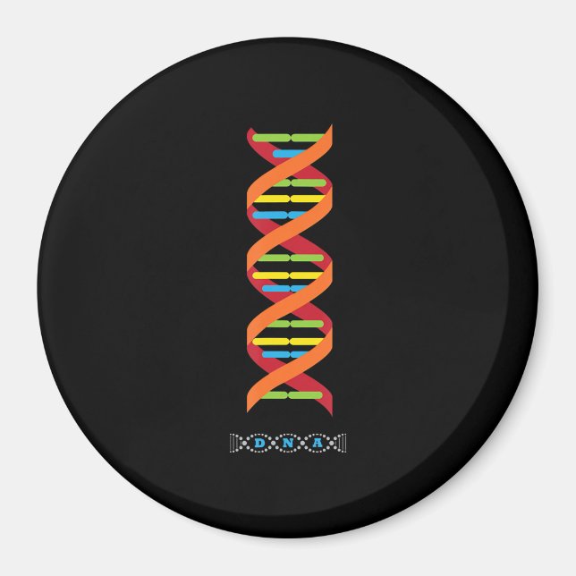 biology dna molecule  science teacher genes magnet (Front)