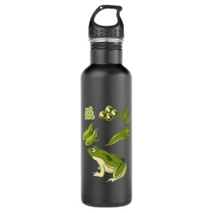 Biology - Frog Lifecycle 710 Ml Water Bottle
