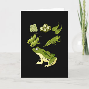 Biology - Frog Lifecycle Card
