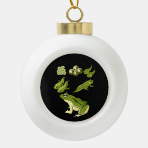 Biology - Frog Lifecycle Ceramic Ball Christmas Ornament
