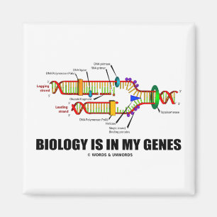 Biology Is In My Genes (DNA Replication) Magnet