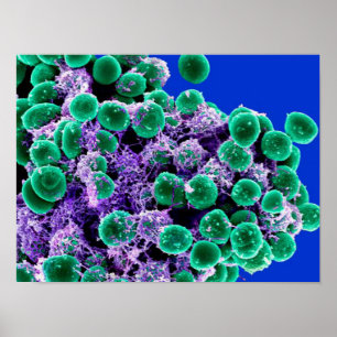 biology microbiology abstract art poster canvas
