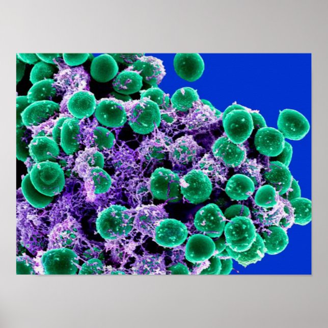 biology microbiology abstract art poster canvas (Front)