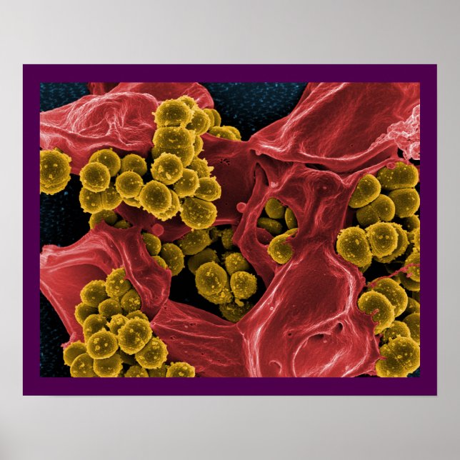 biology microbiology abstract for poster or canvas (Front)