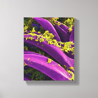 biology microbiology abstract for poster or canvas print