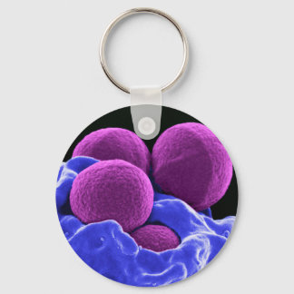 biology microbiology gift for students teachers key ring