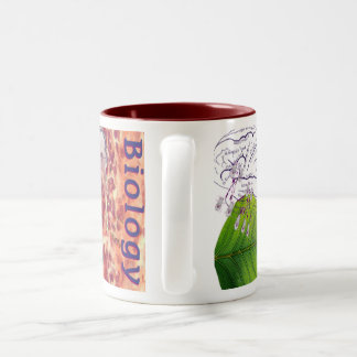 Biology Mug