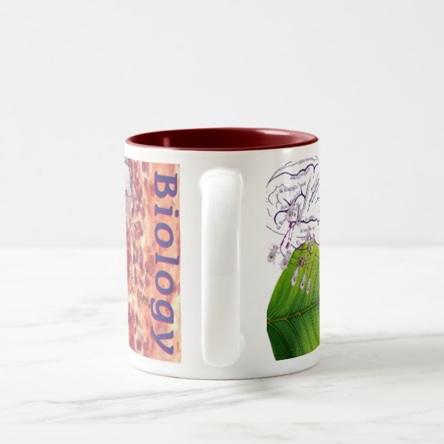 Biology Mug (Handle)