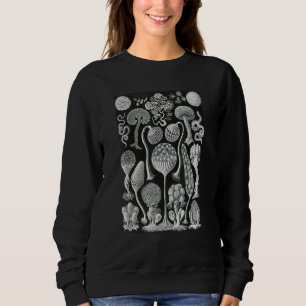 Biology Mycetozoa Slime Molds Scientific Haeckel Sweatshirt