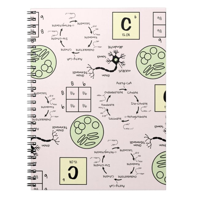 Biology Science Teacher Cell Genetics Neuron Nerd  Notebook (Front)