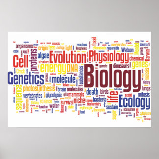 Biology Wordle No. 4 Poster