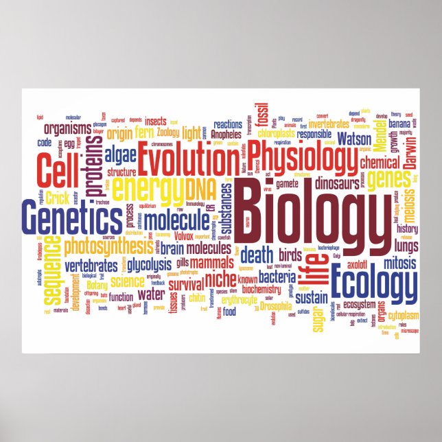 Biology Wordle No. 4 Poster (Front)