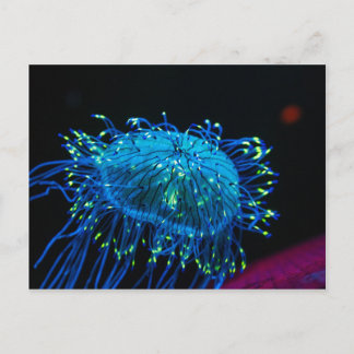 bioluminescent Jellyfish Postcard