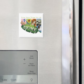 Biome Seasons Magnet