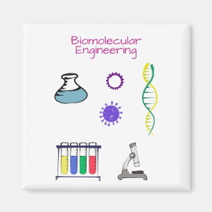 Biomolecular Engineer Chemical engineering Magnet