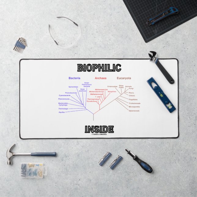 Biophilic Inside Phylogenetic Tree Of Life Biology Desk Mat (Workstation)