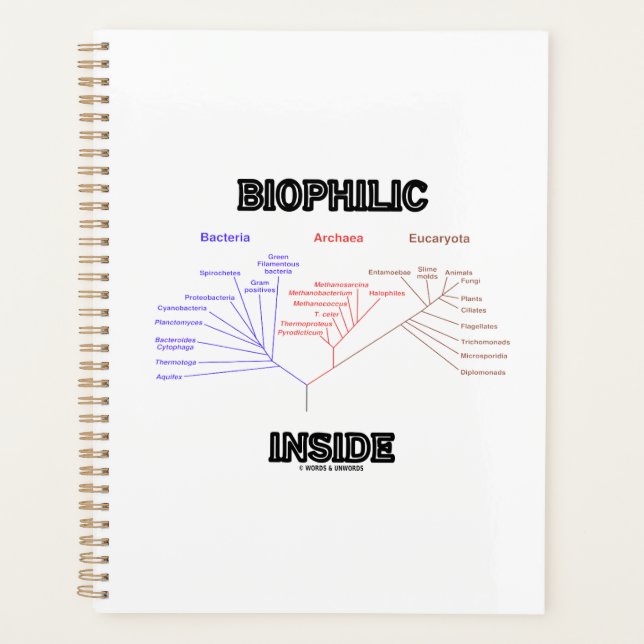 Biophilic Inside Phylogenetic Tree Of Life Biology Planner (Front)
