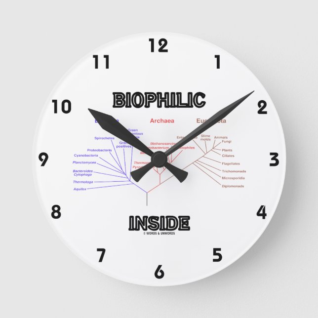 Biophilic Inside Phylogenetic Tree Of Life Round Clock (Front)