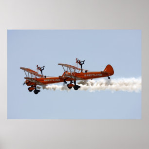 Biplane wing walkers poster