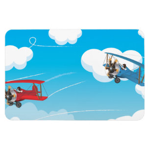 biplanes magnet