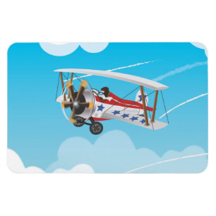 biplanes magnet