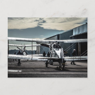 Biplanes Postcard