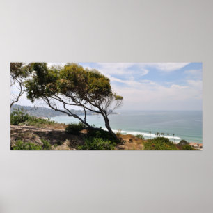 Birch Aquarium Panorama Poster