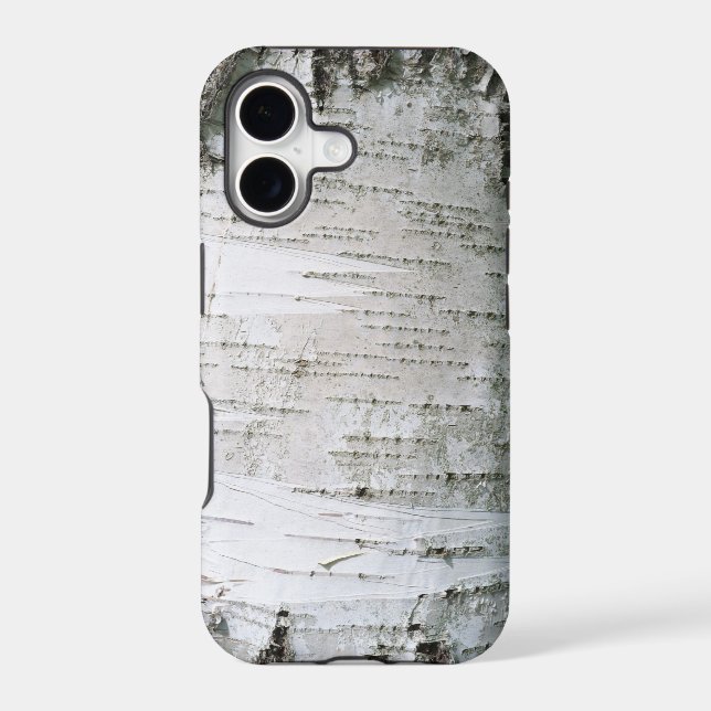 Birch bark (Back)