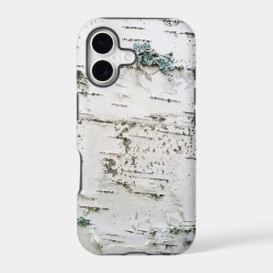 Birch bark