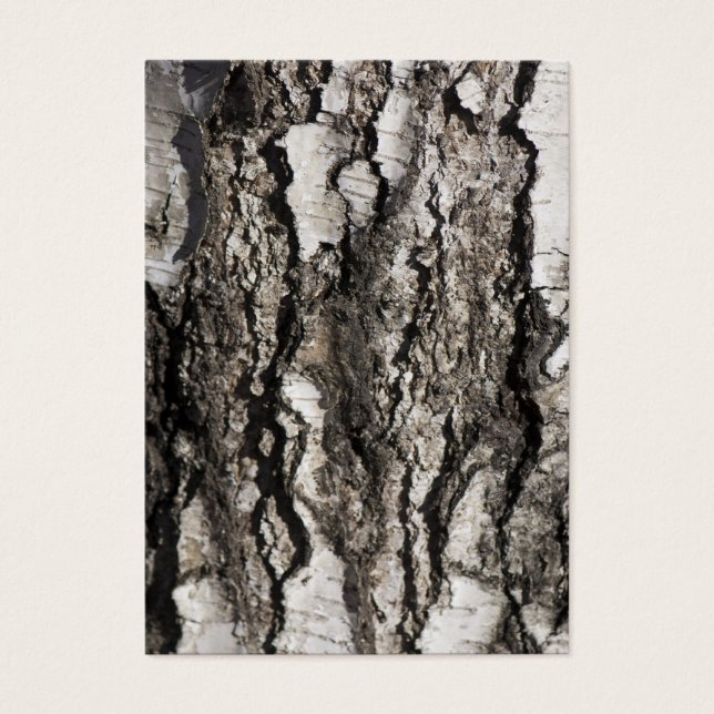 Birch bark (Front)
