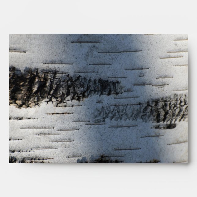 Birch bark 1291 envelope (Front)