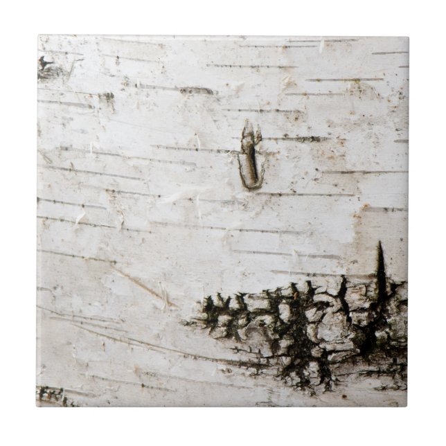 Birch bark 2330 tile (Front)