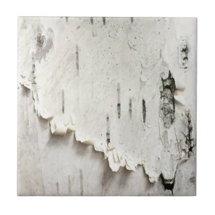 Birch Bark Ceramic Tile