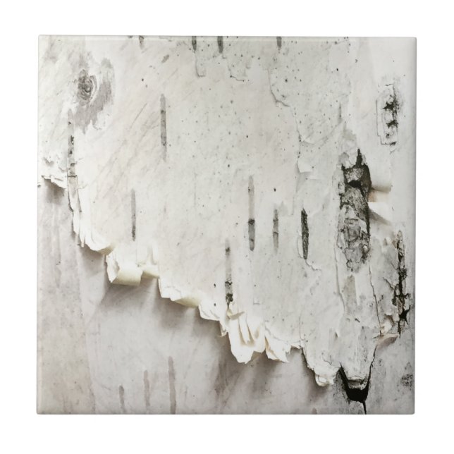 Birch Bark Ceramic Tile (Front)