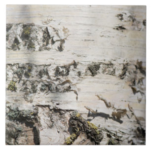 Birch bark pattern ceramic tile