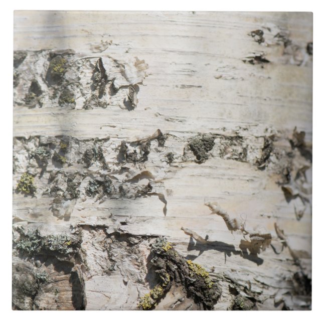 Birch bark pattern ceramic tile (Front)