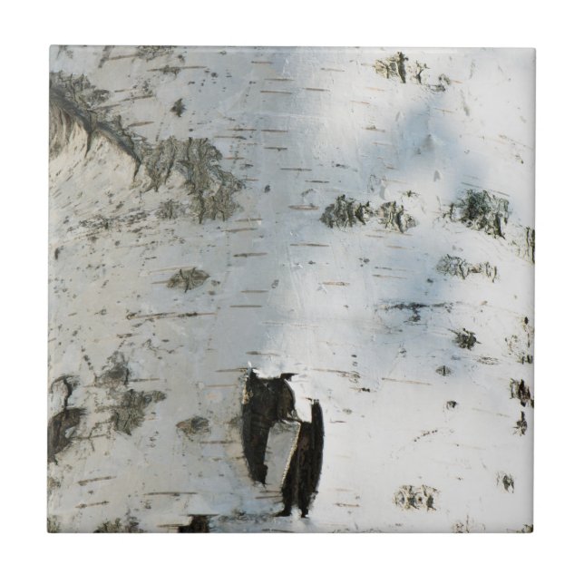 Birch bark pattern ceramic tile (Front)