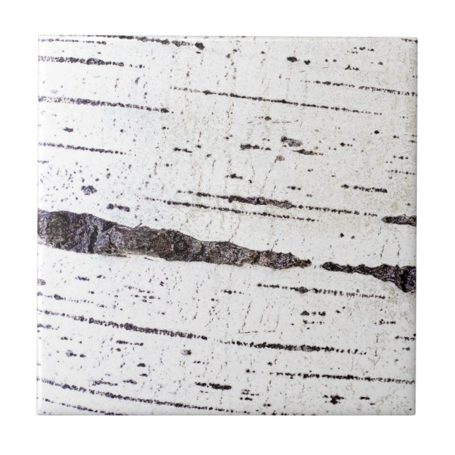 Birch bark pattern ceramic tile (Front)