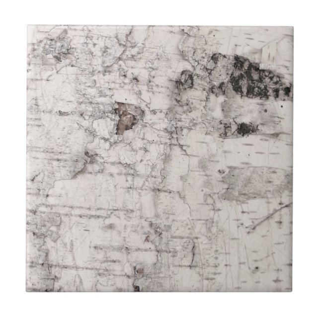 Birch bark pattern ceramic tile (Front)