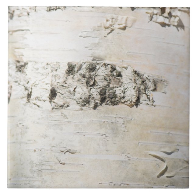 Birch bark pattern ceramic tile (Front)