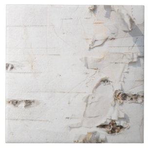 Birch bark pattern ceramic tile