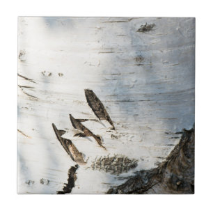 Birch bark pattern ceramic tile